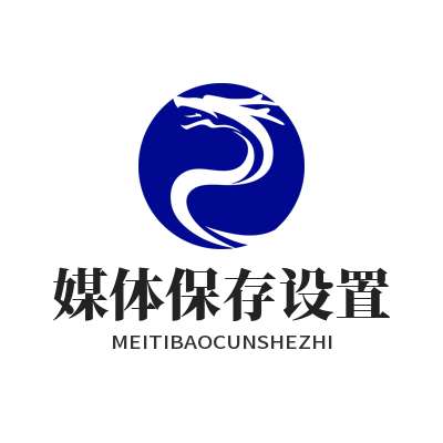 WhatsApp 媒体保存设置